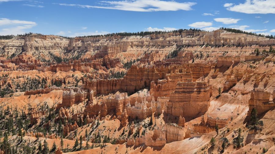 קניון ברייס